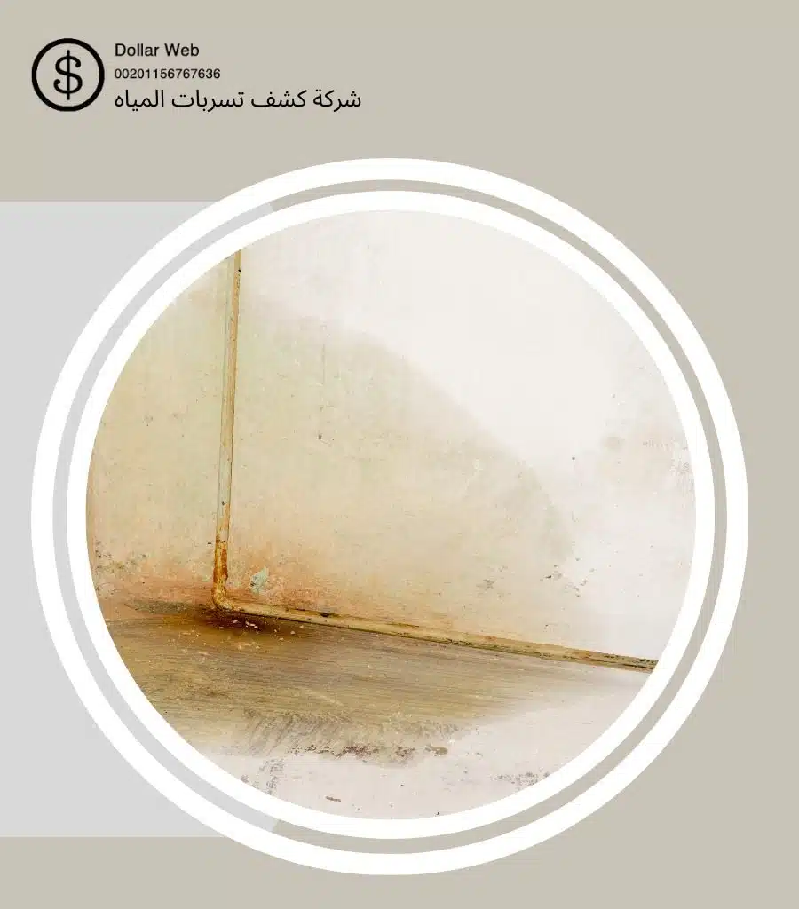 كشف تسربات حي الدواسر